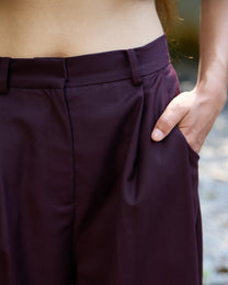 PLEATED WRINKLE-FREE PANTS