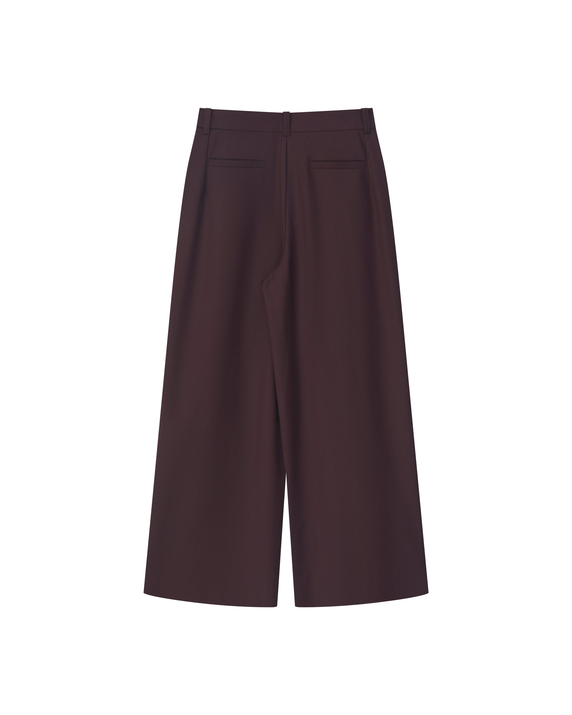 PLEATED WRINKLE-FREE PANTS