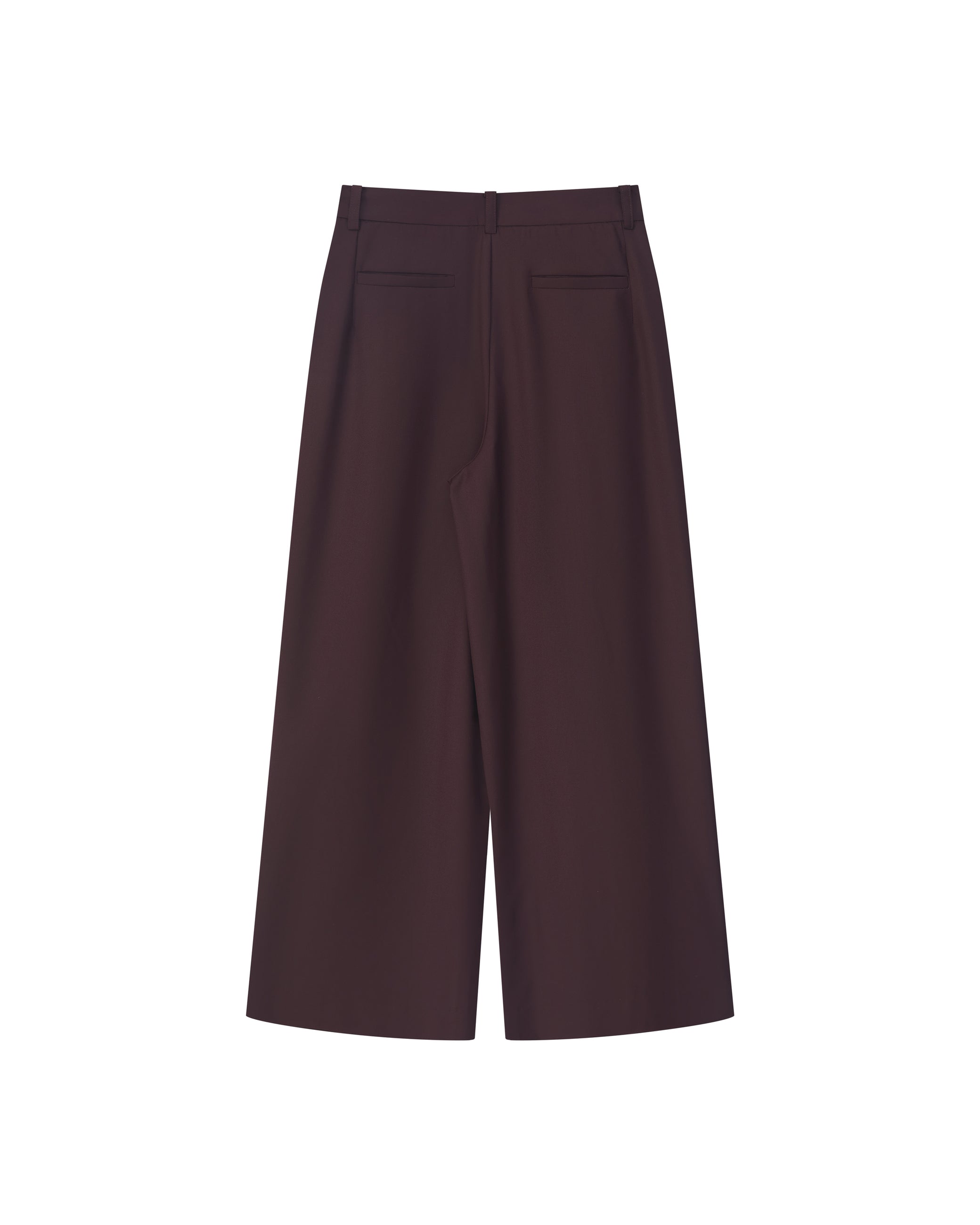 PLEATED WRINKLE-FREE PANTS