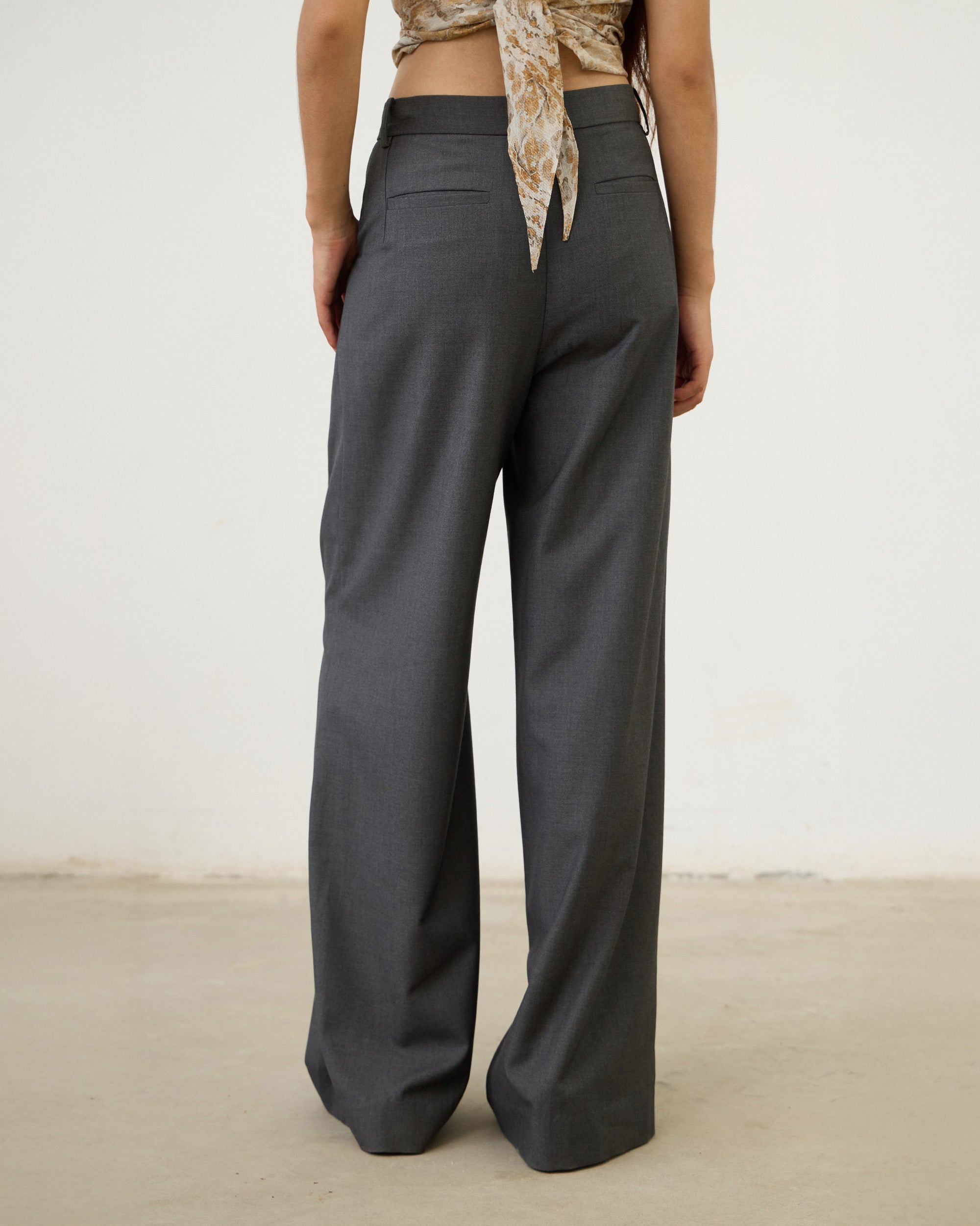 PLEATED WRINKLE-FREE PANTS